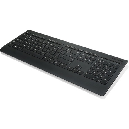 Lenovo Lenovo | Professional | Professional Wireless Keyboard - US English with Euro symbol | Standard | Wireless | US | Black | English | 700 g | Numeric keypad | Wireless connection 4X30H56874