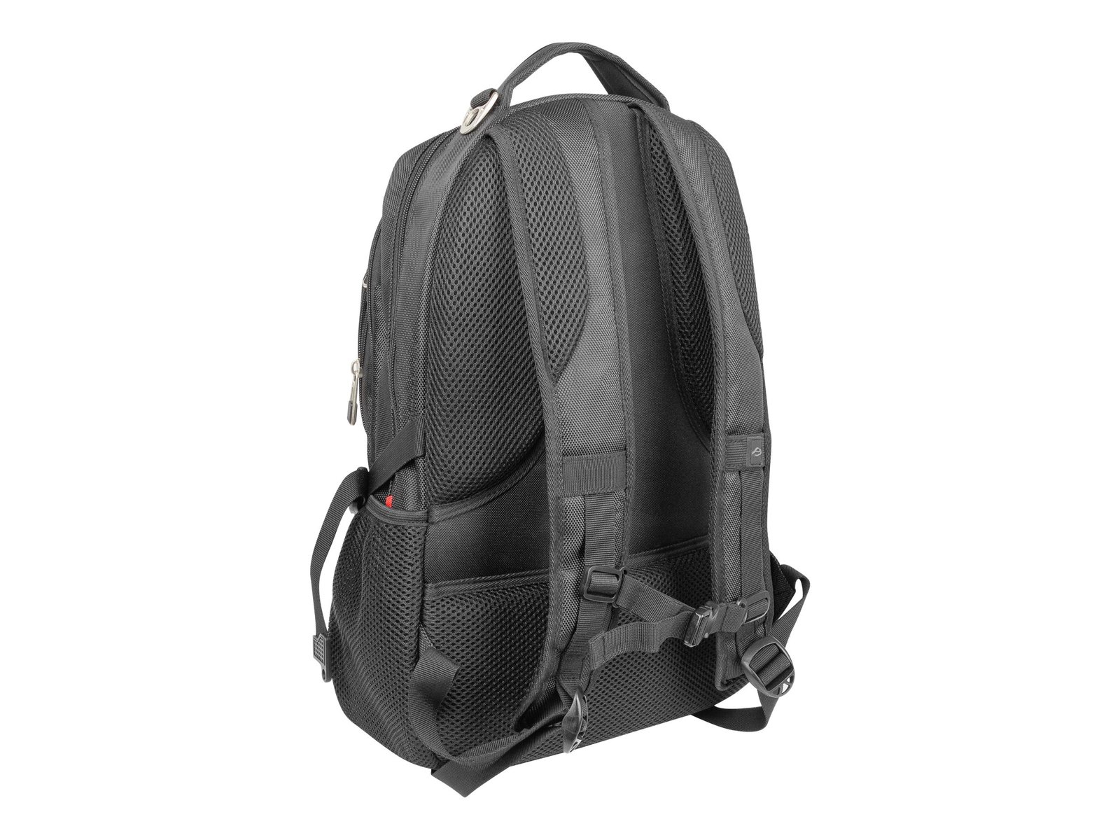 Natec Natec | NTO-1703 | Laptop Backpack Merino | Backpack | Black | 15.6 " | Shoulder strap NTO-1703