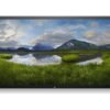 Dell Dell | 4K Interactive Touch Monitor | P7524QT | 16:9 | Landscape | 8 ms | Touchscreen | 350 cd/m² | HDMI ports quantity 3 | Black | Warranty 36 month(s) 210-BJKF