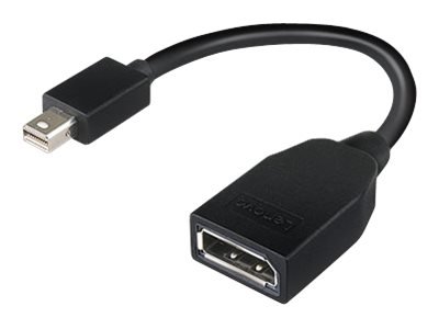 Lenovo Lenovo | Mini-DisplayPort to DisplayPort Adapter | Mini-DisplayPort | DisplayPort 4X90L13971