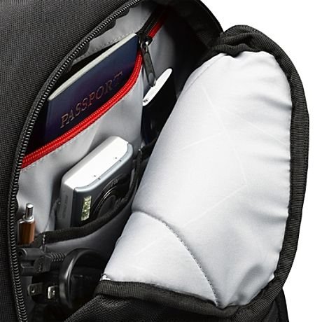 Case Logic Case Logic | DLBP116K | Fits up to size 16 " | Backpack | Black DLBP116 BLACK