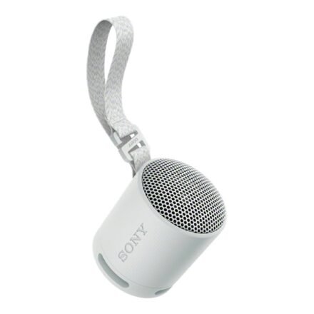 Sony Sony | Speaker | SRS-XB100 | Waterproof | Bluetooth | Gray | Portable | Wireless connection SRSXB100H.CE7
