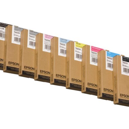 Epson Epson T603 220ml Light Black | Epson C13T603700