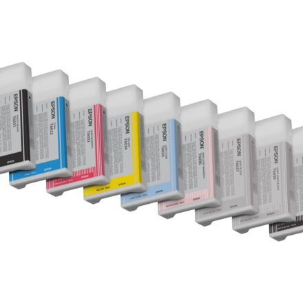 Epson Epson T603 220ml Light Black | Epson C13T603900