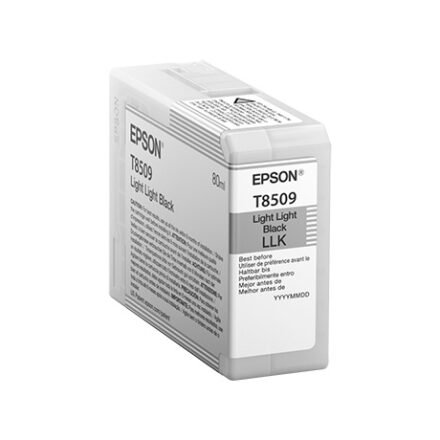 Epson Epson T850900 | Ink Cartridge | Light Black C13T850900