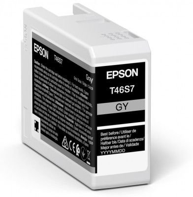 Epson Epson UltraChrome Pro 10 ink | T46S7 | Ink cartrige | Grey C13T46S700