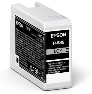 Epson Epson UltraChrome Pro 10 ink | T46S9 | Ink cartrige | Light Gray C13T46S900