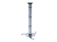 Sunne Sunne | Projector Ceiling mount | Turn, Tilt | Maximum weight (capacity) 10 kg | Silver PRO03