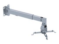 Sunne Sunne | Projector Ceiling mount | PRO02S | Tilt, Swivel | Maximum weight (capacity) 20 kg | Silver PRO02S