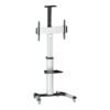 Logilink Logilink BP0025 TV stand cart, adjustable TV height, 37–70“, max. 50 kg | Logilink | Floor stand | BP0025 | 30-70 " | Maximum weight (capacity) 50 kg BP0025