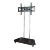 EDBAK EDBAK | TR2c-B | Trolleys & Stands | 40-70 " | Maximum weight (capacity) 80 kg | Black TR2C-B
