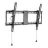 Gembird Gembird | Wall mount | Tilt | 37-80 " | Maximum weight (capacity) 70 kg | Black WM-80T-01