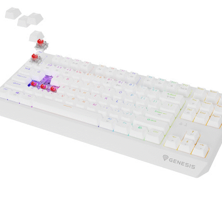 Genesis Genesis THOR 230 | Mechanical Gaming Keyboard | Wireless | US | White | 2.4 GHz, Bluetooth, USB | Outemu Red NKG-2165
