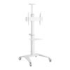 Gembird Gembird Aluminum TV floor stand with caster wheels, 37" - 70", white | Gembird TVS-70T-02-W