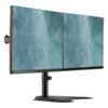 Digitus Digitus Desk Mount | DA-90401 | Adjustable Height, Rotate, Swivel | 15-32 " | Maximum weight (capacity) 2x8 kg | Black DA-90401