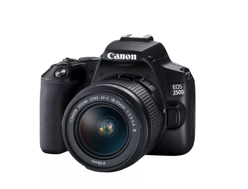 Canon Canon | EOS 250D + 18-55mm Kit | Megapixel 24.1 MP | Image stabilizer | ISO sensitivity (max) 256000 | Wi-Fi | Video recording | Manual | CMOS | Black 3454C003