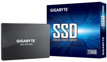Gigabyte Gigabyte | GP-GSTFS31256GTND | 256 GB | Solid-state drive interface SATA | Read speed 520 MB/s | Write speed 500 MB/s GP-GSTFS31256GTND