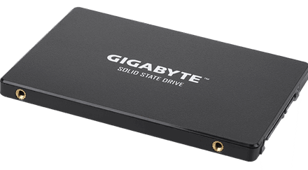 Gigabyte Gigabyte | GP-GSTFS31256GTND | 256 GB | Solid-state drive interface SATA | Read speed 520 MB/s | Write speed 500 MB/s GP-GSTFS31256GTND