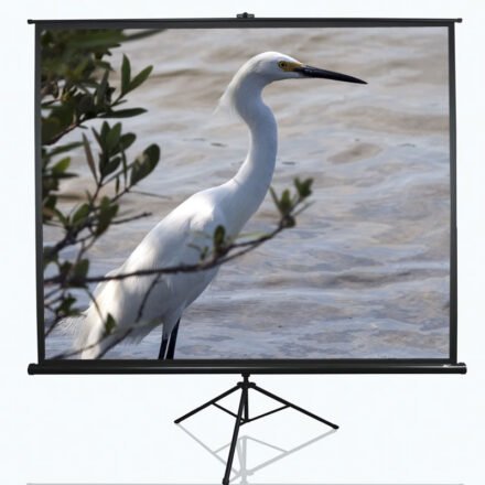 Elite Screens Elite Screens | Tripod Series | T100UWV1 | Diagonal 100 " | 4:3 | Viewable screen width (W) 203 cm | Black T100UWV1